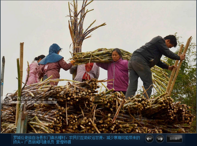 砍门镇人口_人口普查(3)