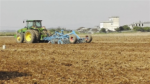  广西 糖网: 打击走私 糖 为甜蜜事业护航